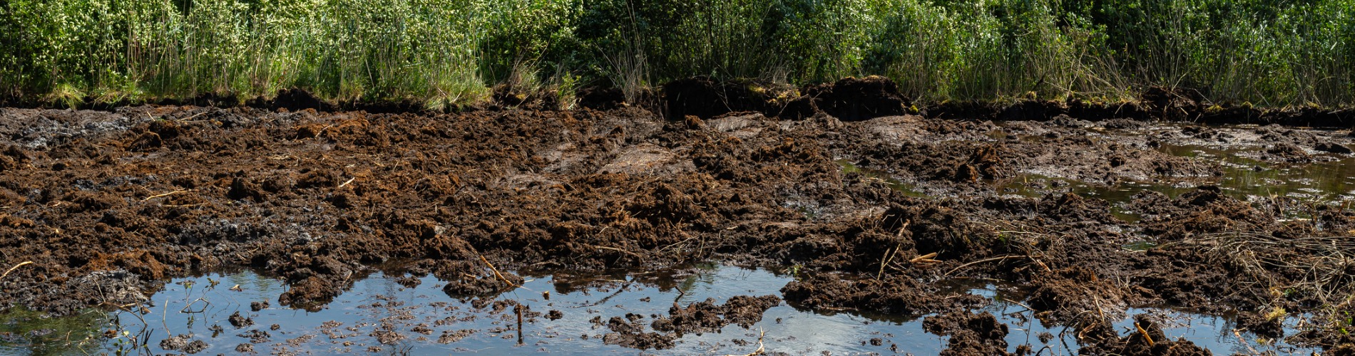 excavating-peat-from-marshy-swamps-visible-hole-with-groundwater.jpg-1900x500