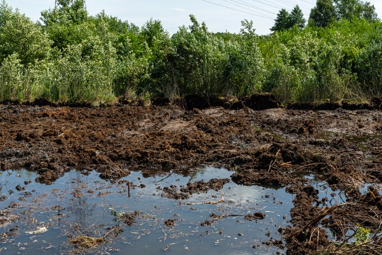 excavating-peat-from-marshy-swamps-visible-hole-with-groundwater.jpg-540x360